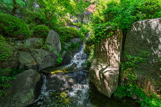 Dynamic water splashing over massive boulders at the base of a waterfall at Mejiro Garden May 2024
