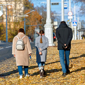 Family with young daughter walking their small pet dog on leash along sunny city sidewalk covered with yellow autumn leaves. Rear view of parents and child taking peaceful autumn walk together