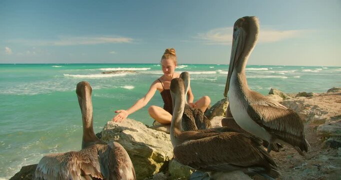 Happy traveler watching birds interacting with brown pelicans while sitting on a beach along Mexico Caribbean coast, Tulum