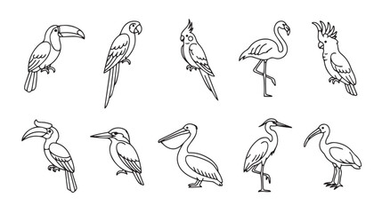 Naklejka premium Tropical bird line art icons, set of 10 exotic bird vector illustrations, minimalist outline parrot and flamingo drawings for coloring