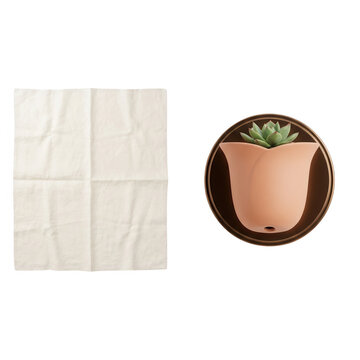 Une composition minimaliste avec une petite plante succulente dans un pot en c&eacute;ramique p&ecirc;che et un carr&eacute; de tissu en lin blanc froiss&eacute;, vue de dessus sur un fond neutre.