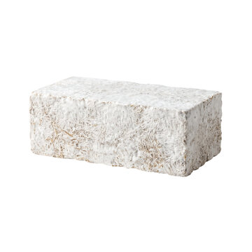 Mushroom mycelium brick is shown as an eco-friendly building material alternative made from natural fungal roots.