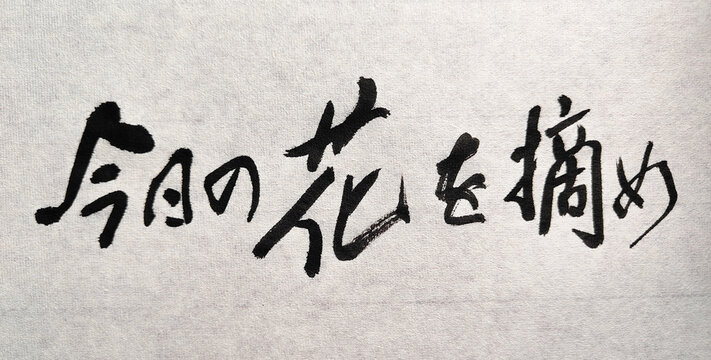 今日の花を摘め ― 今この瞬間を大切に生きる書 / Gather Today&rsquo;s Flowers &ndash; Japanese Calligraphy of Living in the Present