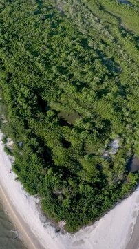 Florian&oacute;polis, Daniela Beach. Aerial View of Tropical Coastline. Establishing Shot. Santa Catarina, Brazil. Vertical video