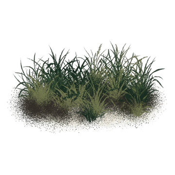 Un petit touffe d'herbe verte isol&eacute;e sur fond blanc, parfaite pour des compositions paysag&egrave;res, des illustrations de jardinage ou des &eacute;l&eacute;ments de design graphique naturel.