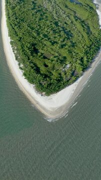 Florian&oacute;polis, Daniela Beach. Aerial View of Tropical Coastline. Establishing Shot. Santa Catarina, Brazil. Vertical video