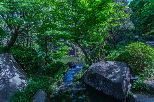 Stream flowing under a green canopy of fresh maple leaves and mossy rocks at Mejiro Garden May 2024