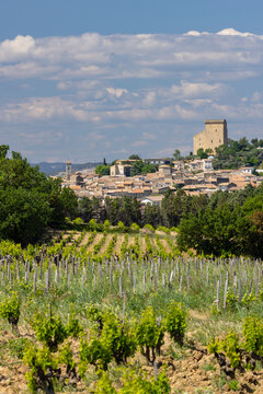 Typical vineyard with stones near Chateauneuf-du-Pape, Cotes du Rhone, France
