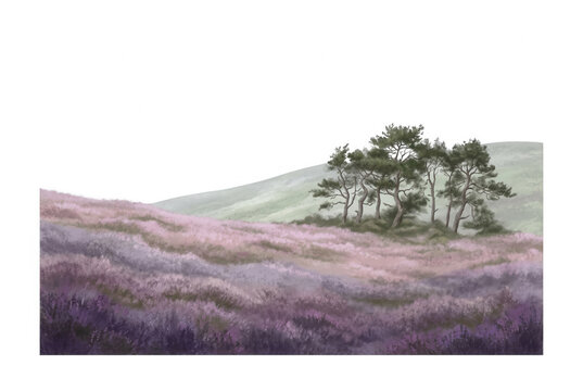 Uma bela ilustra&ccedil;&atilde;o em aquarela de uma paisagem serena com um campo de urzes roxas em flor e um pequeno grupo de &aacute;rvores em uma colina suave, capturando uma atmosfera tranquila e natural.