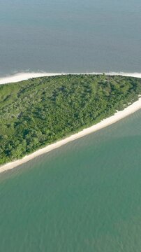 Florian&oacute;polis, Daniela Beach. Aerial View of Tropical Coastline. Establishing Shot. Santa Catarina, Brazil. Vertical video