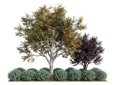 Eine Gruppe von B&auml;umen und Str&auml;uchern mit gr&uuml;nem und violettem Laub, isoliert auf wei&szlig;em Hintergrund, ideal f&uuml;r architektonische Visualisierungen und Landschaftsgestaltung.