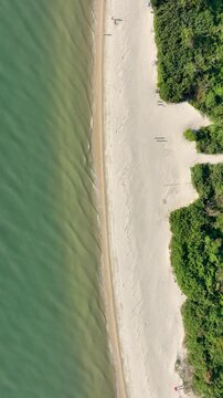 Florian&oacute;polis, Daniela Beach. Aerial View of Tropical Coastline. Establishing Shot. Santa Catarina, Brazil. Vertical video