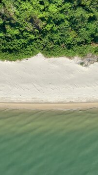Florian&oacute;polis, Daniela Beach. Aerial View of Tropical Coastline. Establishing Shot. Santa Catarina, Brazil. Vertical video