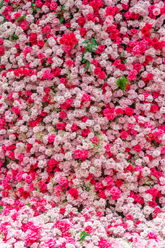pink artificial rose background ,natural texture