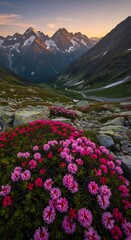 Fototapeta premium Vibrant Alpine Wildflowers Blooming in Rocky Mountain Valley at Sunset