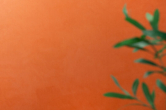 A terracotta textured wall background with in warm orange-red tones and green plant branch in the lower right corner, with generous copy space for cosmetic product placement and beauty advertising.