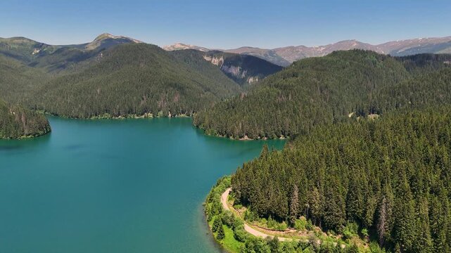 Bolboci Lake aerial bend through pine forest in Bucegi Mountains