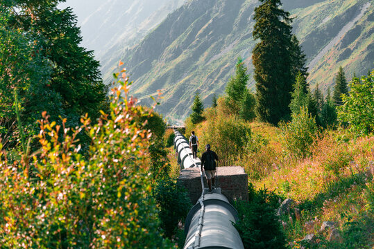 summer landscape in the mountains