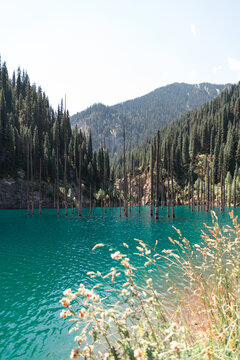 lake in the mountains