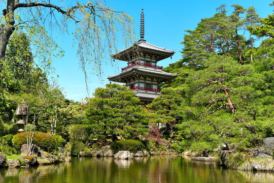Three story pagoda japanese garden pond nikko tochigi japan