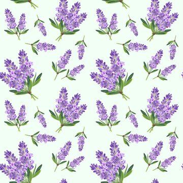 Hand painted watercolor lavender Seamless floral Pattern. 