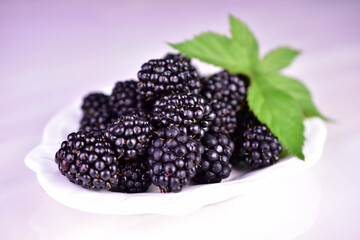 Blackberries on a white plate against a white background. Close-up.  © Olivka888