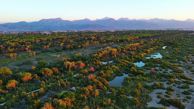 Sunset Aerial Over Coastal Forest, Wetlands, and Distant Mountains