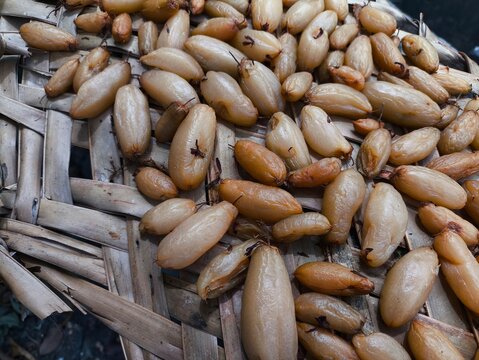 Traditional sun cured bilimbi seasoning on woven mat, organic Indonesian sour spice preparation for culinary industry.