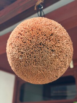 Round suzu bell ornament hanging at shrine