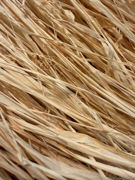 Golden straw thatch texture close up traditional