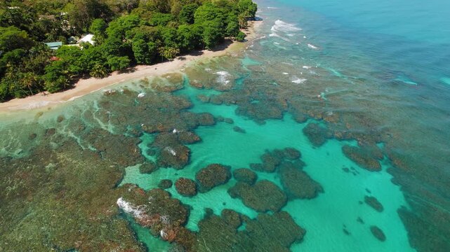 Coral reef visible under clear turquoise water along a quiet tropical beach in Costa Rica