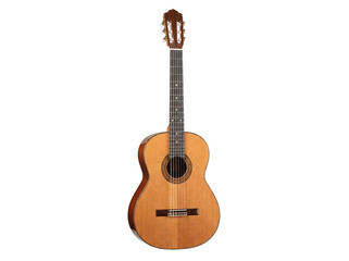Obraz premium Wooden Acoustic Instrument Isolated