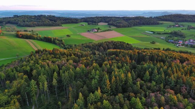 Aerial View of Lush Autumn Forest and Green Fields at Golden Hour