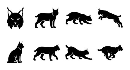Fototapeta premium Lynx Silhouette Collection: Wild Cat Poses, Vector Icons for Nature and Wildlife Design