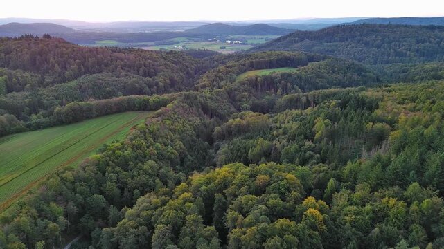 Aerial Drone Flight Over Lush Green Forest Valley and Rural Landscape