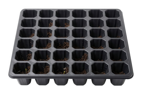 Black plastic garden seedling propagation tray with thirty six cells.