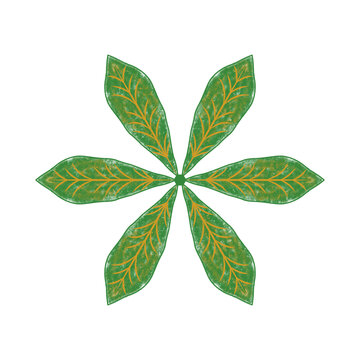 Green palmately compound six leaflet foliage emblem with yellow leaf veins isolated on a transparent background