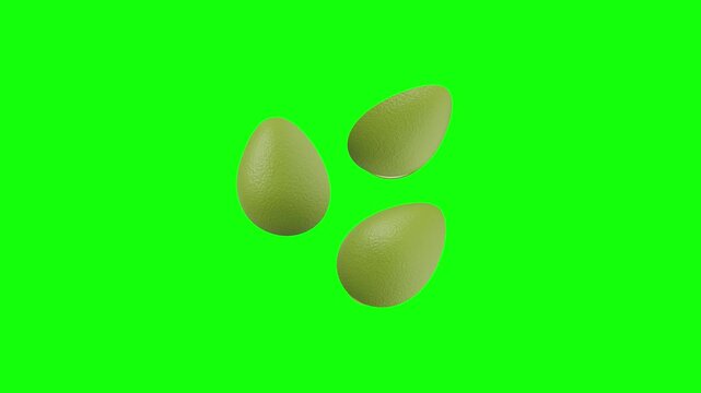 floating avocados 3D animated on green screen background