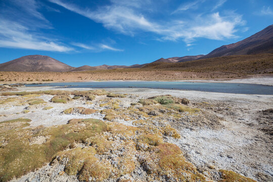 Northern Chile