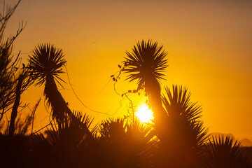 Fototapeta premium Rural landscapes in Brazil