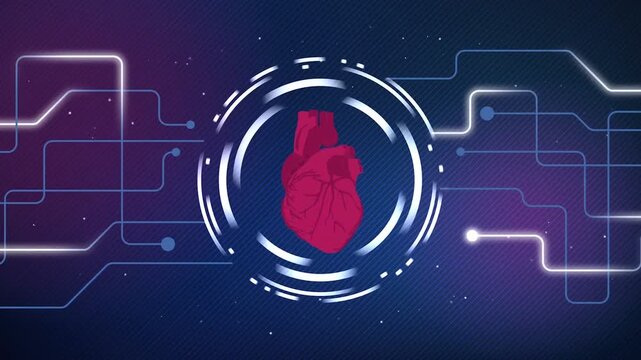 Digital human heart animation with glowing circuit board tech background loop