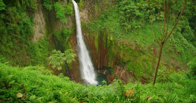Very tall waterfall Catarata del Toro plunging into pool surrounded by dense greenery in Costa Rica