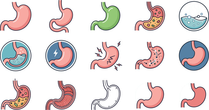 Set of stomach icons representing various digestive system health conditions, symptoms, and anatomical functions in a colorful flat vector style