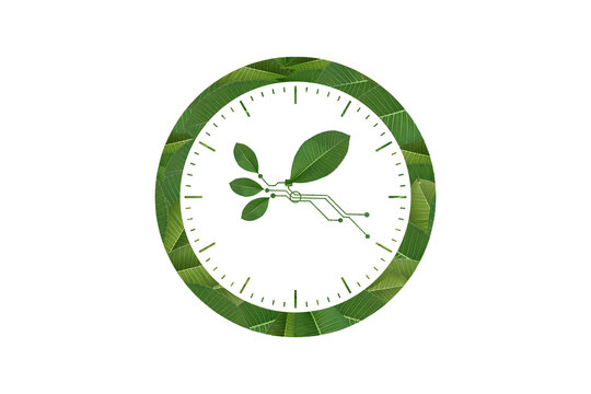 Eco clock face green leaf central icon isolated