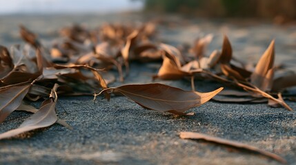 Fototapeta premium Dry leaves rest on textured ground under warm soft light capturing natural decay and earthy tones in a quiet outdoor scene