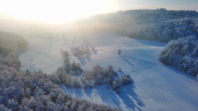 Aerial View of Serene Winter Morning Over Snow-Covered Forests and Fields
