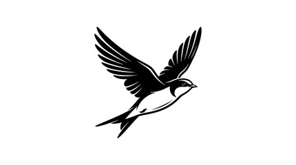Obraz premium Black and white bird flying with wings spread
