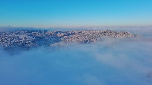 Serene Aerial Winter Landscape with Frosted Trees and Misty Valley