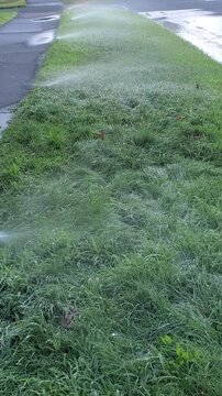 Automatic Lawn Sprinkler Spraying Water on Green Grass Lawn and Garden Tree
