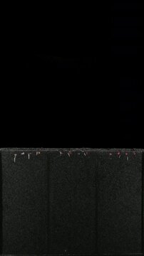 4K vertical time lapse showing radish seeds germinating and developing roots and green seedlings in a rhizobox. Underground root growth and above-ground plant development are clearly visible.
